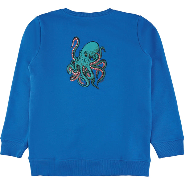 Organic-Graham sweatshirt