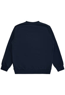 Organic- Danio sweatshirt