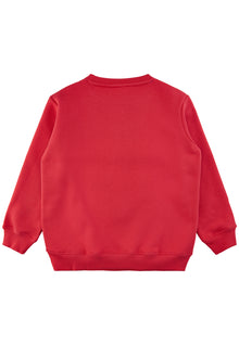 Organic- Dandy oversize sweatshirt