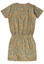 Sustainable-Fry dress