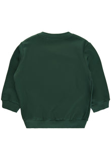 Organic- Dazzy sweatshirt